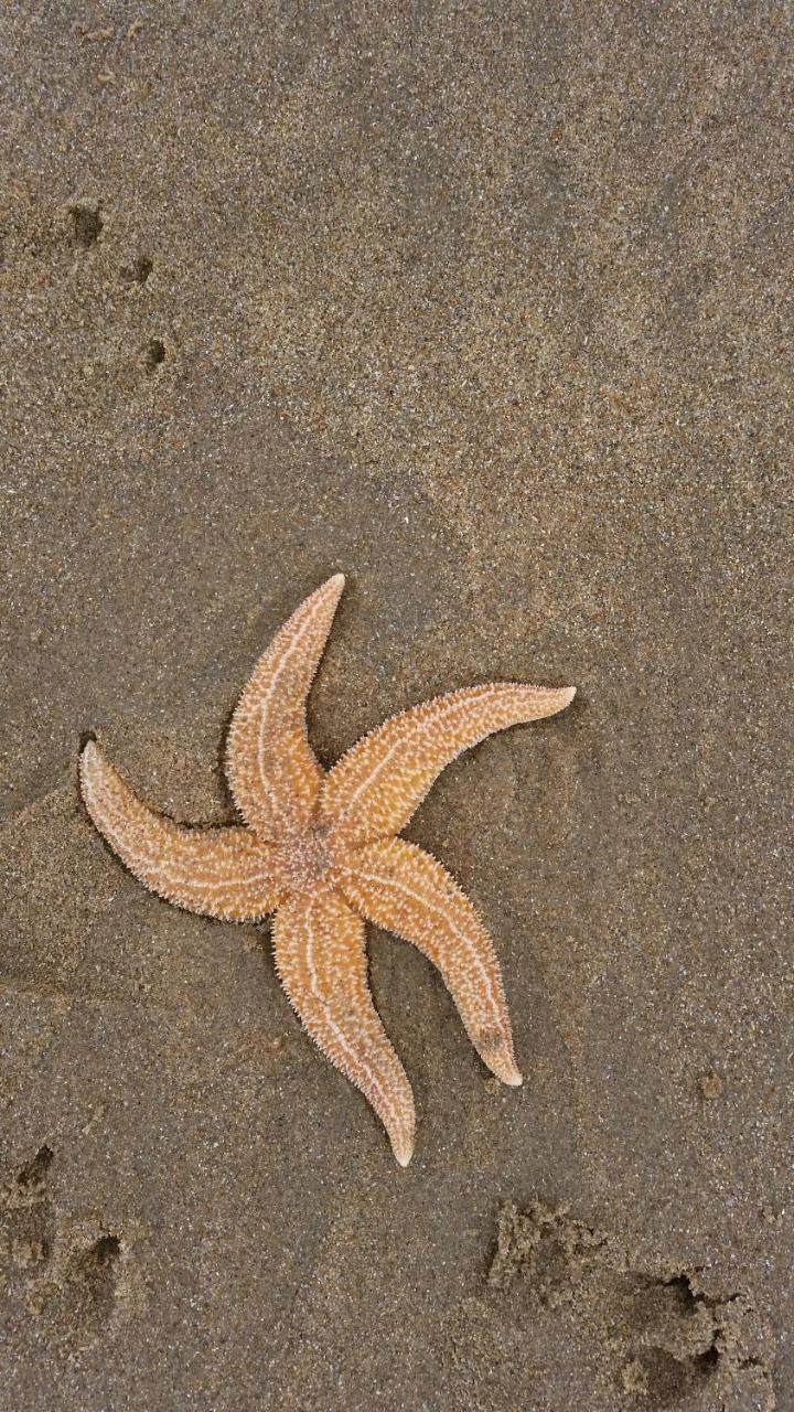 Zeezicht Noordwijk
